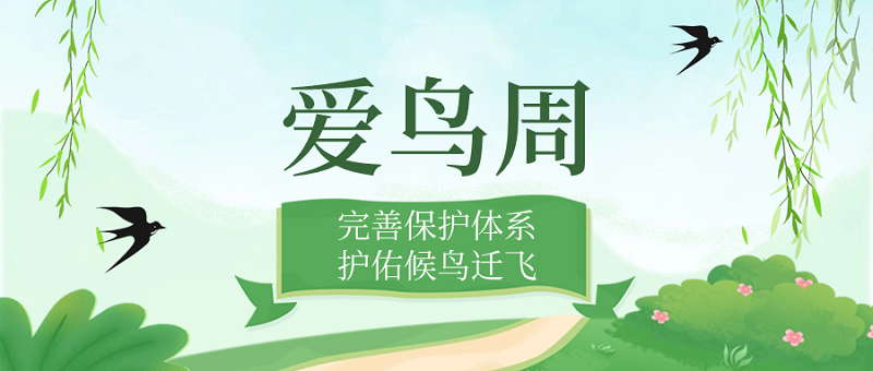 爱鸟周携手共护蓝天精灵自在飞翔